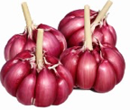 Castanha Cozida