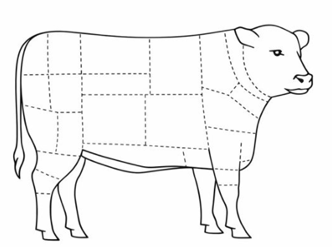 Ilustração cortes de carne bovina
