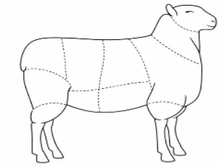 Ilustração cortes de carne de cordeiro